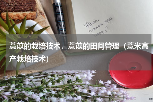 薏苡的栽培技术，薏苡的田间管理（薏米高产栽培技术）