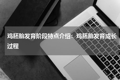 鸡胚胎发育阶段特点介绍：鸡胚胎发育成长过程
