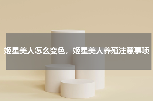 姬星美人怎么变色，姬星美人养殖注意事项