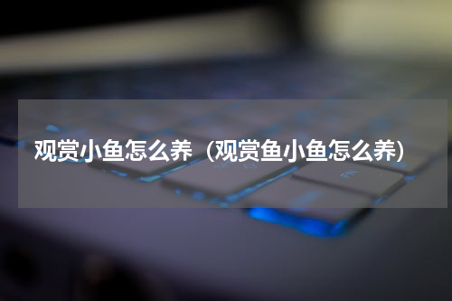 观赏小鱼怎么养（观赏鱼小鱼怎么养）