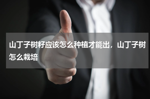 山丁子树籽应该怎么种植才能出，山丁子树怎么栽培