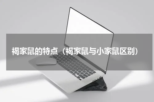 褐家鼠的特点（褐家鼠与小家鼠区别）