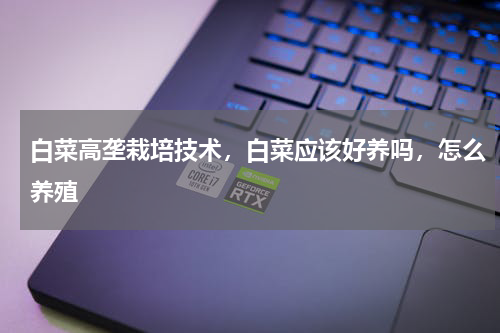 白菜高垄栽培技术，白菜应该好养吗，怎么养殖
