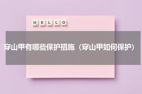 穿山甲有哪些保护措施（穿山甲如何保护）