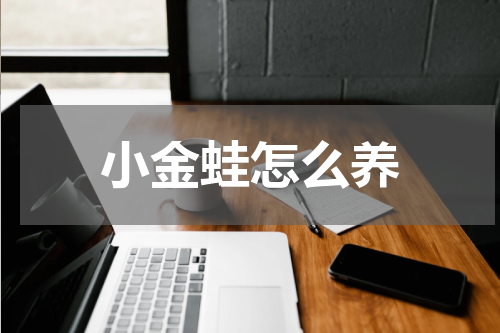 小金蛙怎么养