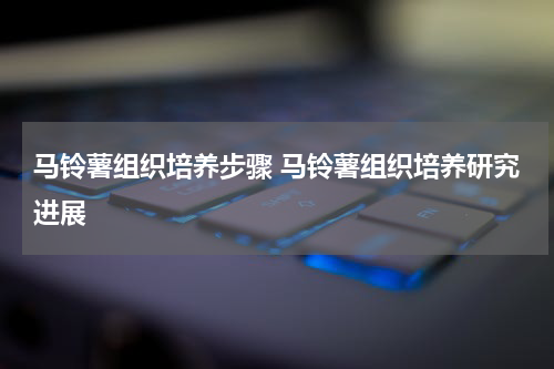 马铃薯组织培养步骤 马铃薯组织培养研究进展