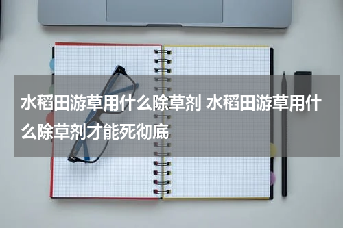 水稻田游草用什么除草剂 水稻田游草用什么除草剂才能死彻底