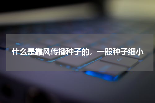 什么是靠风传播种子的，一般种子细小