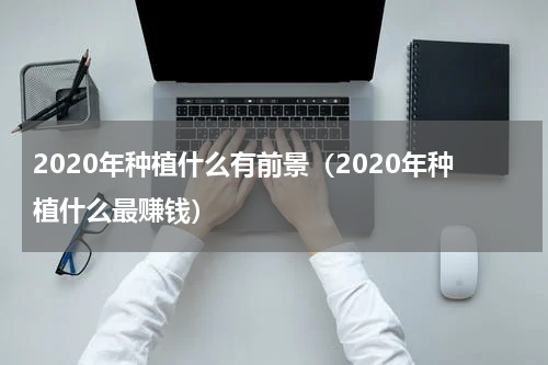 2020年种植什么有前景（2020年种植什么最赚钱）