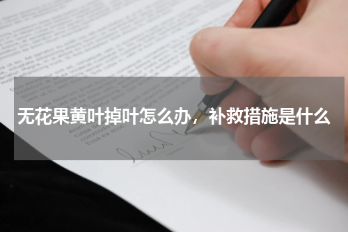无花果黄叶掉叶怎么办，补救措施是什么