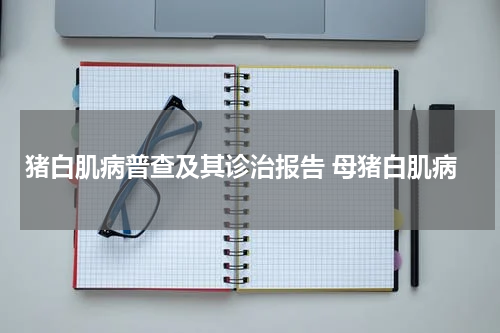 猪白肌病普查及其诊治报告 母猪白肌病