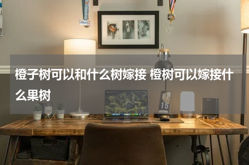 橙子树可以和什么树嫁接 橙树可以嫁接什么果树
