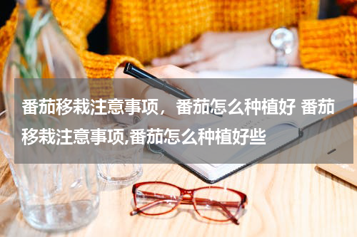 番茄移栽注意事项，番茄怎么种植好 番茄移栽注意事项,番茄怎么种植好些