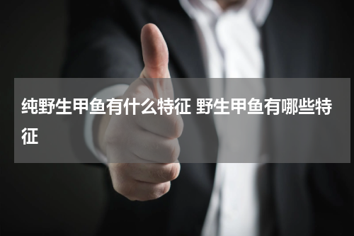 纯野生甲鱼有什么特征 野生甲鱼有哪些特征