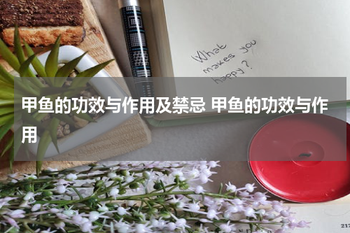 甲鱼的功效与作用及禁忌 甲鱼的功效与作用