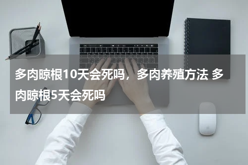 多肉晾根10天会死吗，多肉养殖方法 多肉晾根5天会死吗