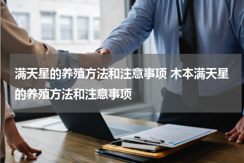 满天星的养殖方法和注意事项 木本满天星的养殖方法和注意事项