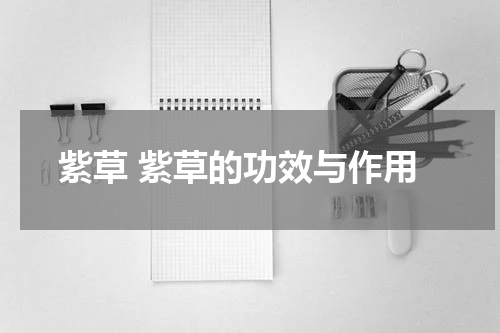 紫草 紫草的功效与作用