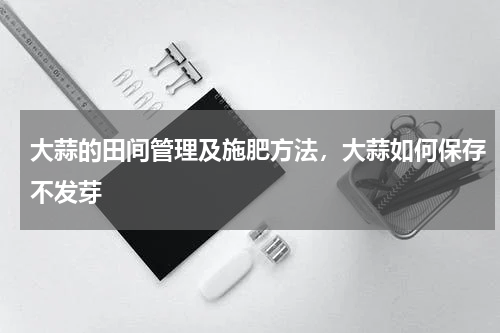 大蒜的田间管理及施肥方法，大蒜如何保存不发芽
