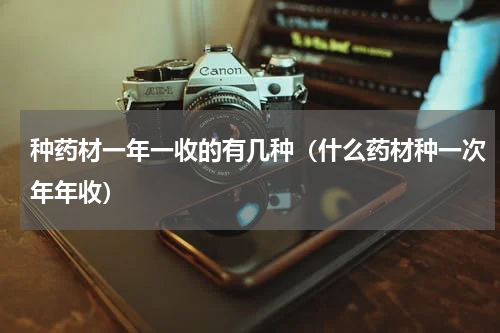 种药材一年一收的有几种（什么药材种一次年年收）
