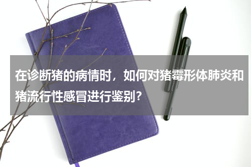 在诊断猪的病情时，如何对猪霉形体肺炎和猪流行性感冒进行鉴别？