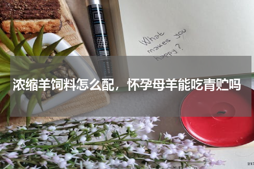 浓缩羊饲料怎么配，怀孕母羊能吃青贮吗