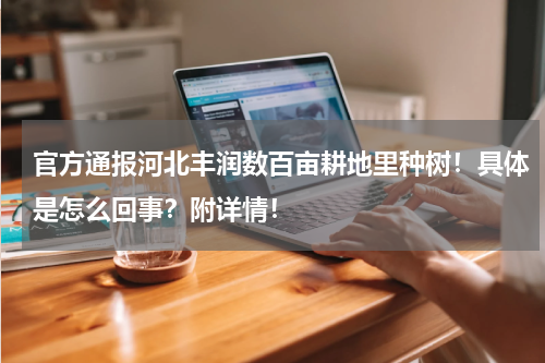 官方通报河北丰润数百亩耕地里种树！具体是怎么回事？附详情！