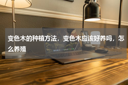 变色木的种植方法，变色木应该好养吗，怎么养殖