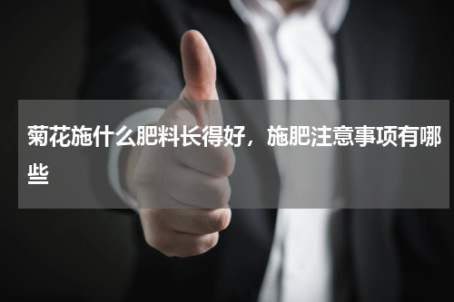 菊花施什么肥料长得好，施肥注意事项有哪些