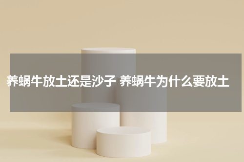 养蜗牛放土还是沙子 养蜗牛为什么要放土