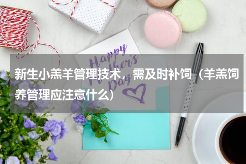 新生小羔羊管理技术，需及时补饲（羊羔饲养管理应注意什么）
