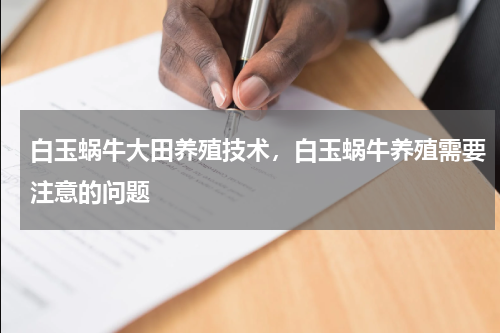 白玉蜗牛大田养殖技术，白玉蜗牛养殖需要注意的问题