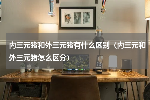 内三元猪和外三元猪有什么区别（内三元和外三元猪怎么区分）