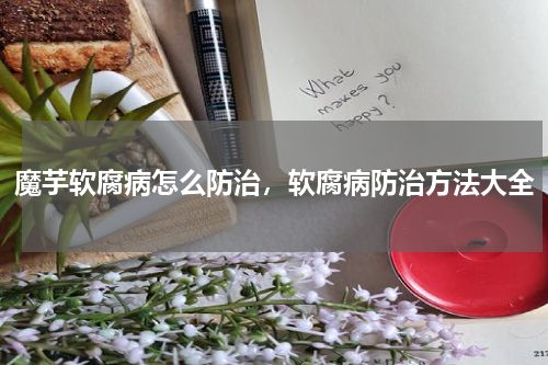 魔芋软腐病怎么防治，软腐病防治方法大全