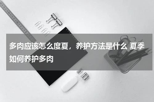 多肉应该怎么度夏，养护方法是什么 夏季如何养护多肉
