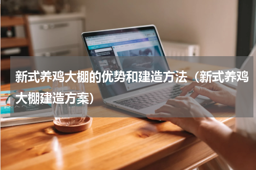新式养鸡大棚的优势和建造方法（新式养鸡大棚建造方案）