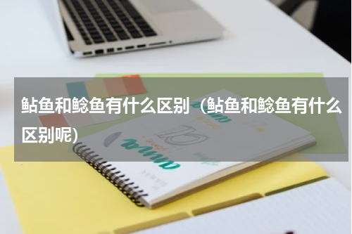 鲇鱼和鲶鱼有什么区别（鲇鱼和鲶鱼有什么区别呢）
