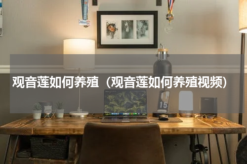 观音莲如何养殖（观音莲如何养殖视频）