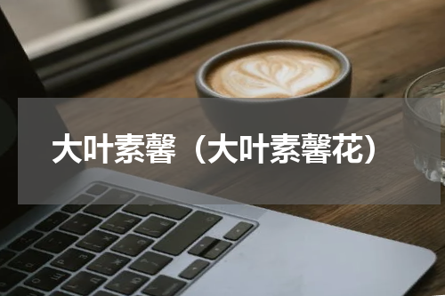 大叶素馨（大叶素馨花）