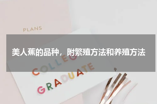 美人蕉的品种，附繁殖方法和养殖方法