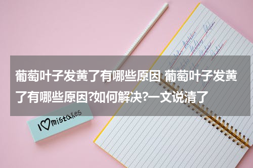 葡萄叶子发黄了有哪些原因 葡萄叶子发黄了有哪些原因?如何解决?一文说清了