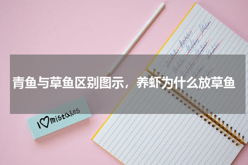 青鱼与草鱼区别图示，养虾为什么放草鱼