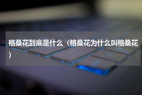 格桑花到底是什么（格桑花为什么叫格桑花）
