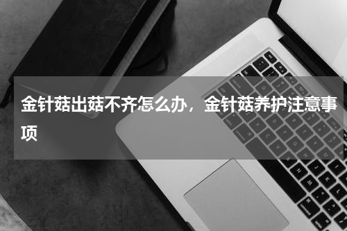 金针菇出菇不齐怎么办，金针菇养护注意事项