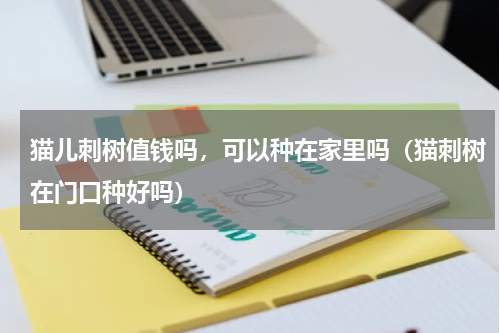 猫儿刺树值钱吗，可以种在家里吗（猫刺树在门口种好吗）