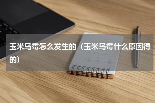 玉米乌霉怎么发生的（玉米乌霉什么原因得的）