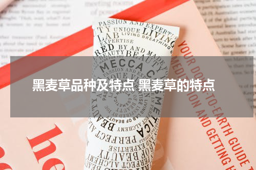 黑麦草品种及特点 黑麦草的特点