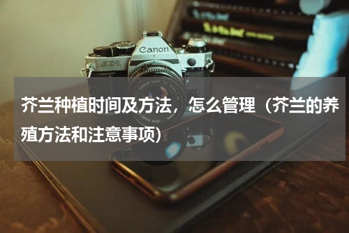 芥兰种植时间及方法，怎么管理（芥兰的养殖方法和注意事项）
