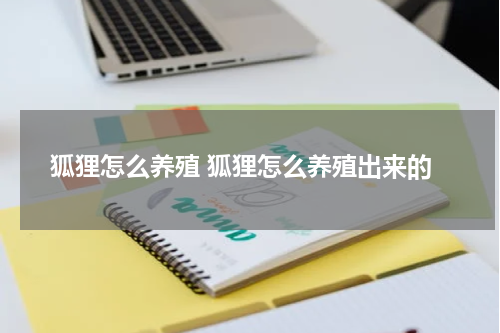 狐狸怎么养殖 狐狸怎么养殖出来的