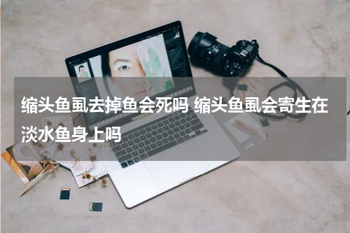 缩头鱼虱去掉鱼会死吗 缩头鱼虱会寄生在淡水鱼身上吗